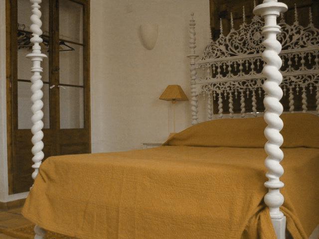 quartocnovacamab.jpg